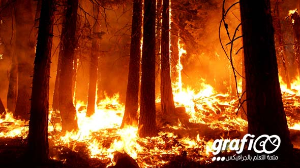 wildfire_grafioo