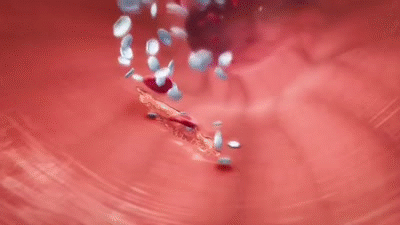 blood_vessels_animated_grafioo4