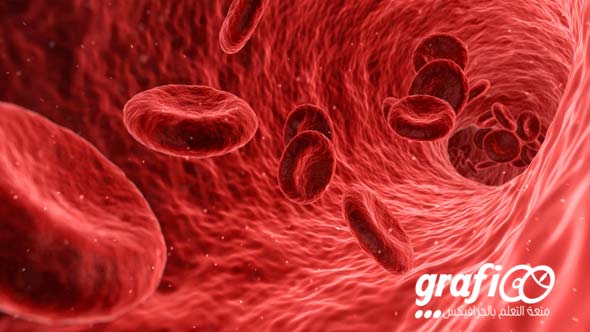red_blood_cells_grafioo