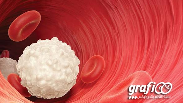 white_blood_cells-grafioo